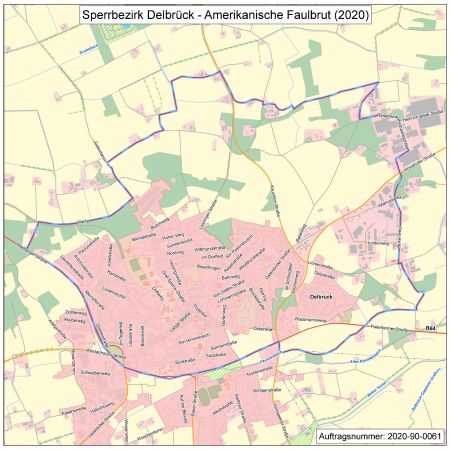 Amerikanische Faulbrut
